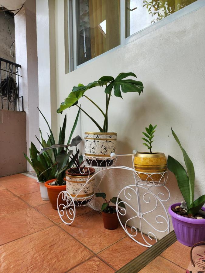 Chue&Larry'S Beachside Homestay Libagon エクステリア 写真