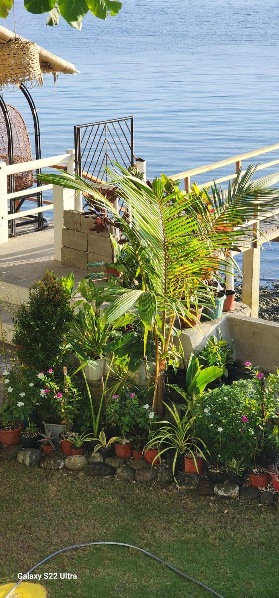 Chue&Larry'S Beachside Homestay Libagon エクステリア 写真