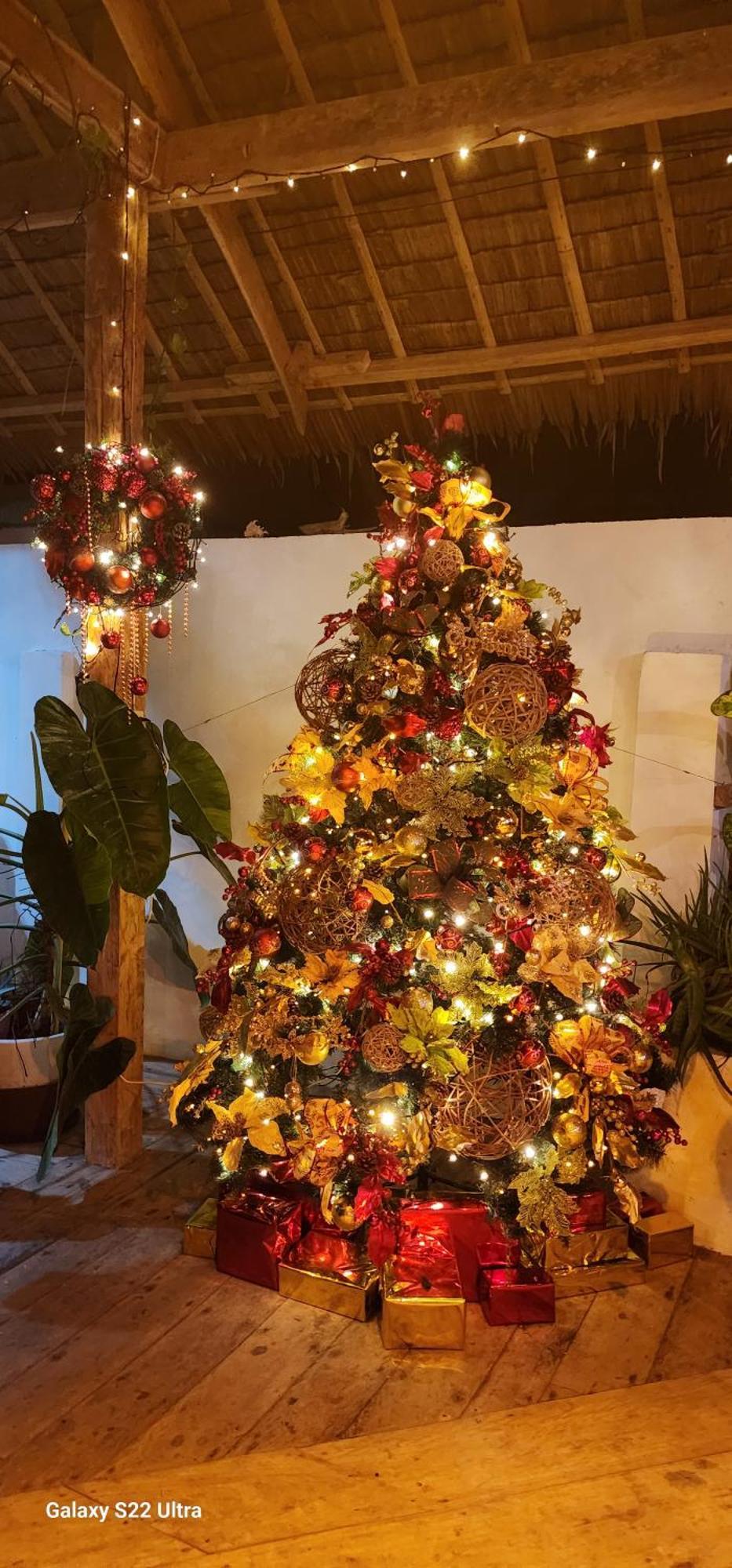 Chue&Larry'S Beachside Homestay Libagon エクステリア 写真